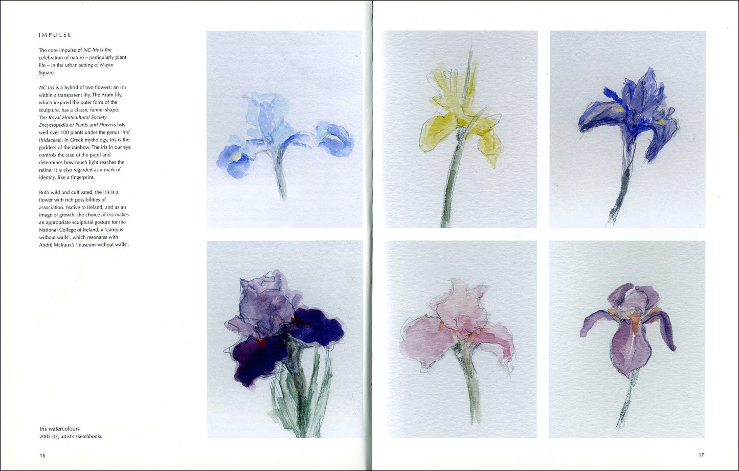 VIVIENNE ROCHE — NC Iris