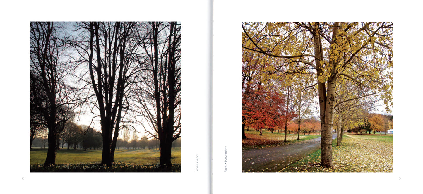 SHADOWS + REFLECTIONS – The Irish National War Memorial Gardens