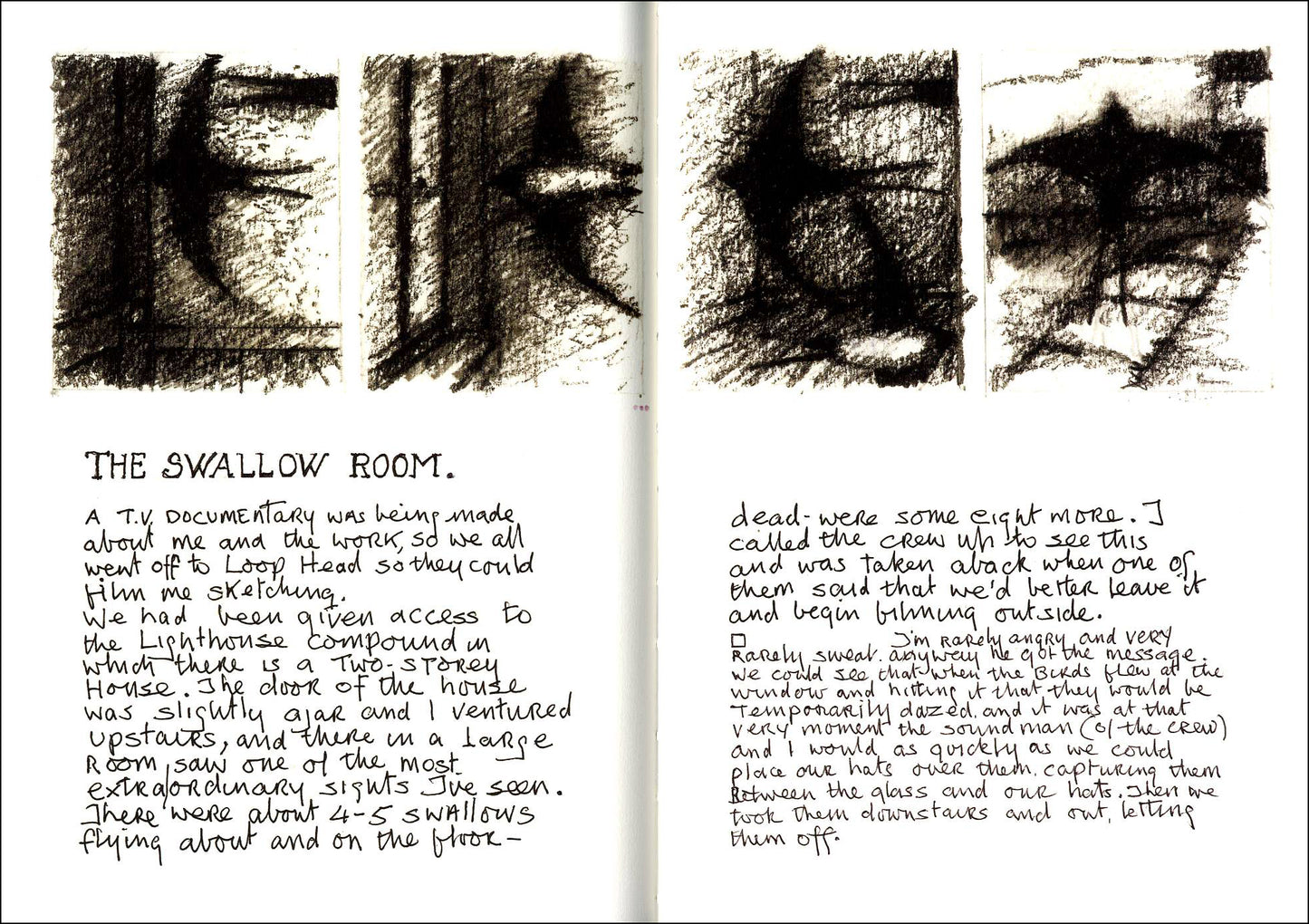 JOHN SHINNORS – Adult Reading at Artist's Bedtime