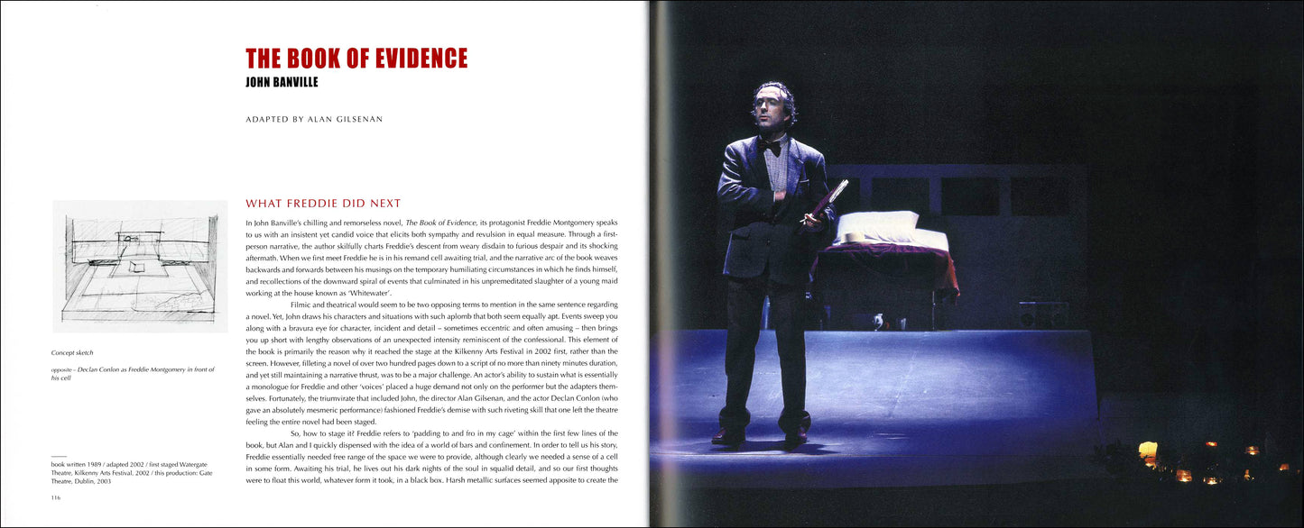 IRISH THEATRESCAPES – New Irish Plays, Adapted European Plays and Irish Classics