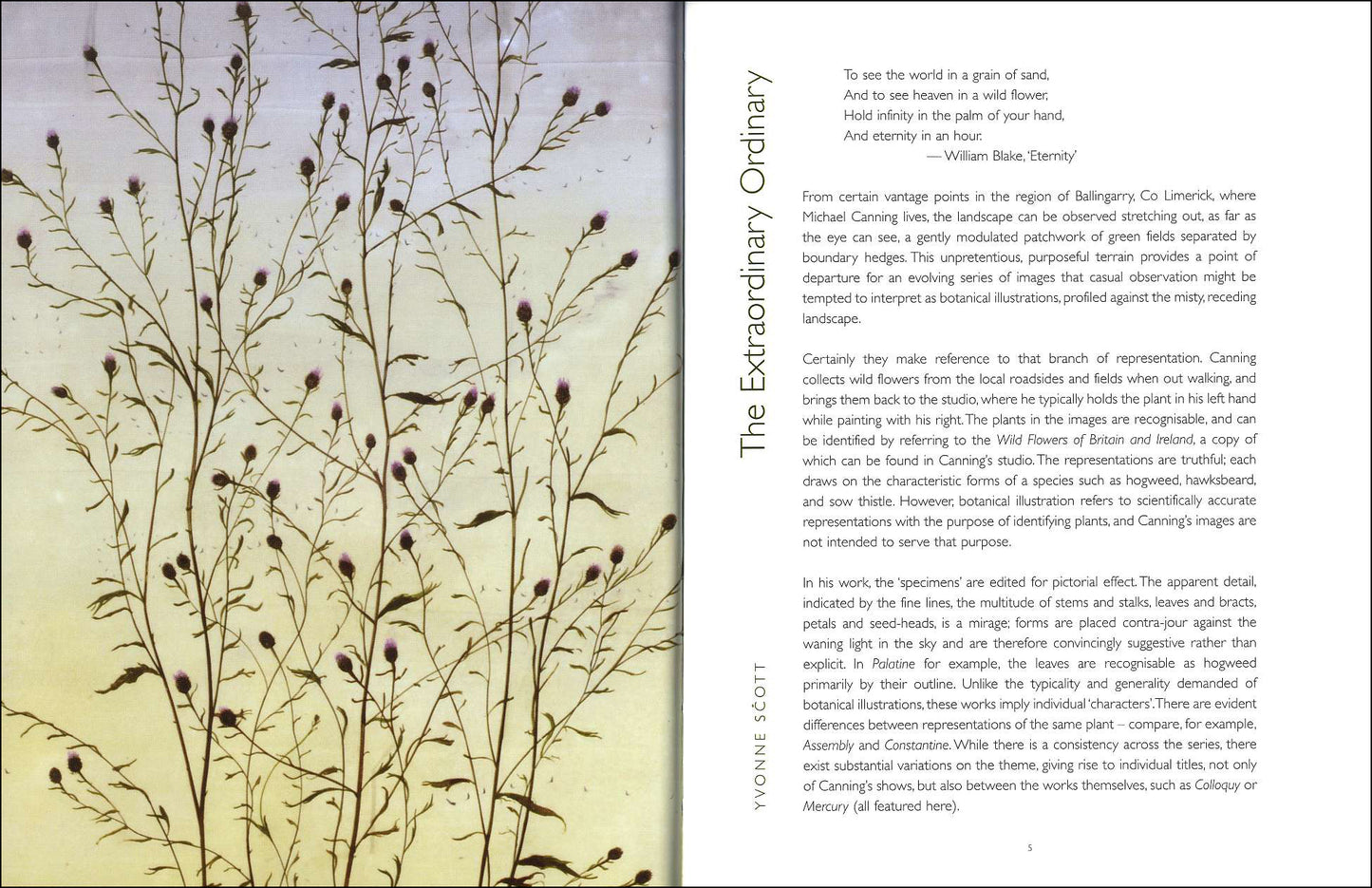 Vangard °3 – MICHAEL CANNING